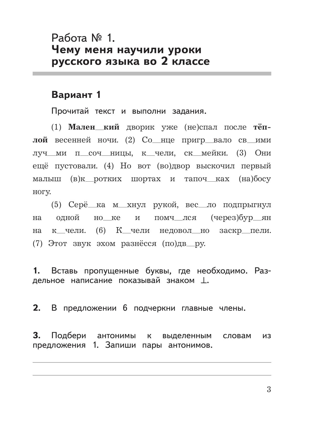 Русский язык: предварительный контроль, текущий контроль, итоговый контроль. 3 класс 6