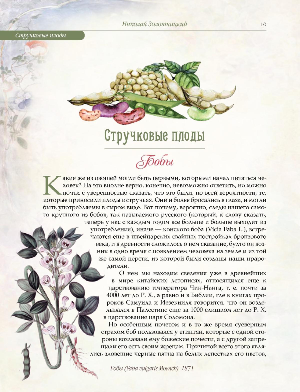 Русский сад и огород. Занимательная история плодов и овощей 9