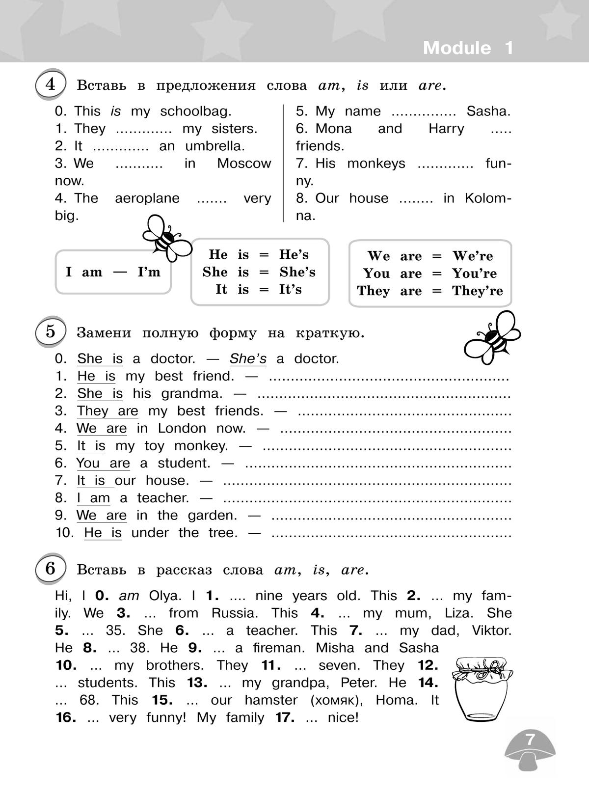 Английский язык. Сборник грамматических упражнений. 3 класс 6