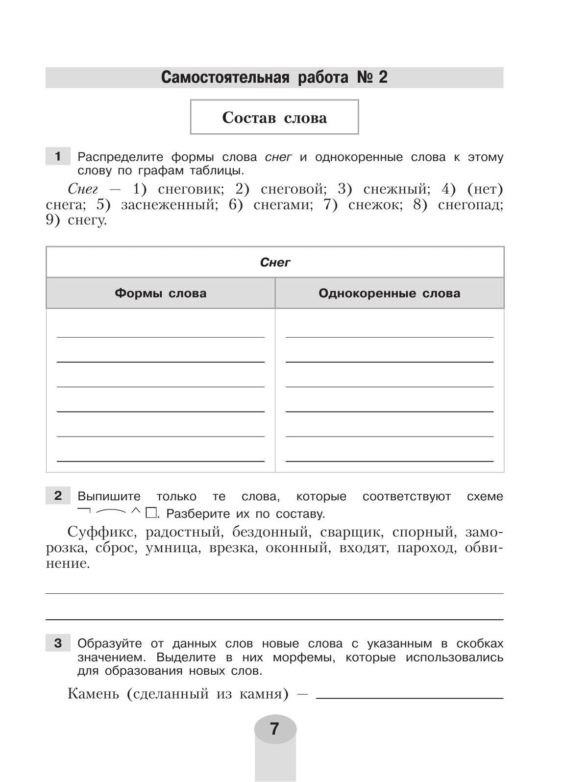 Русский язык. Самостоятельные и контрольные работы. 6 класс 11