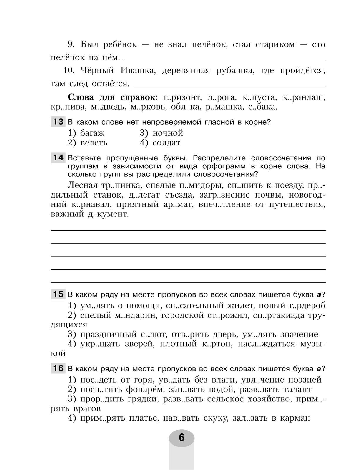Русский язык. Самостоятельные и контрольные работы. 5 класс 10