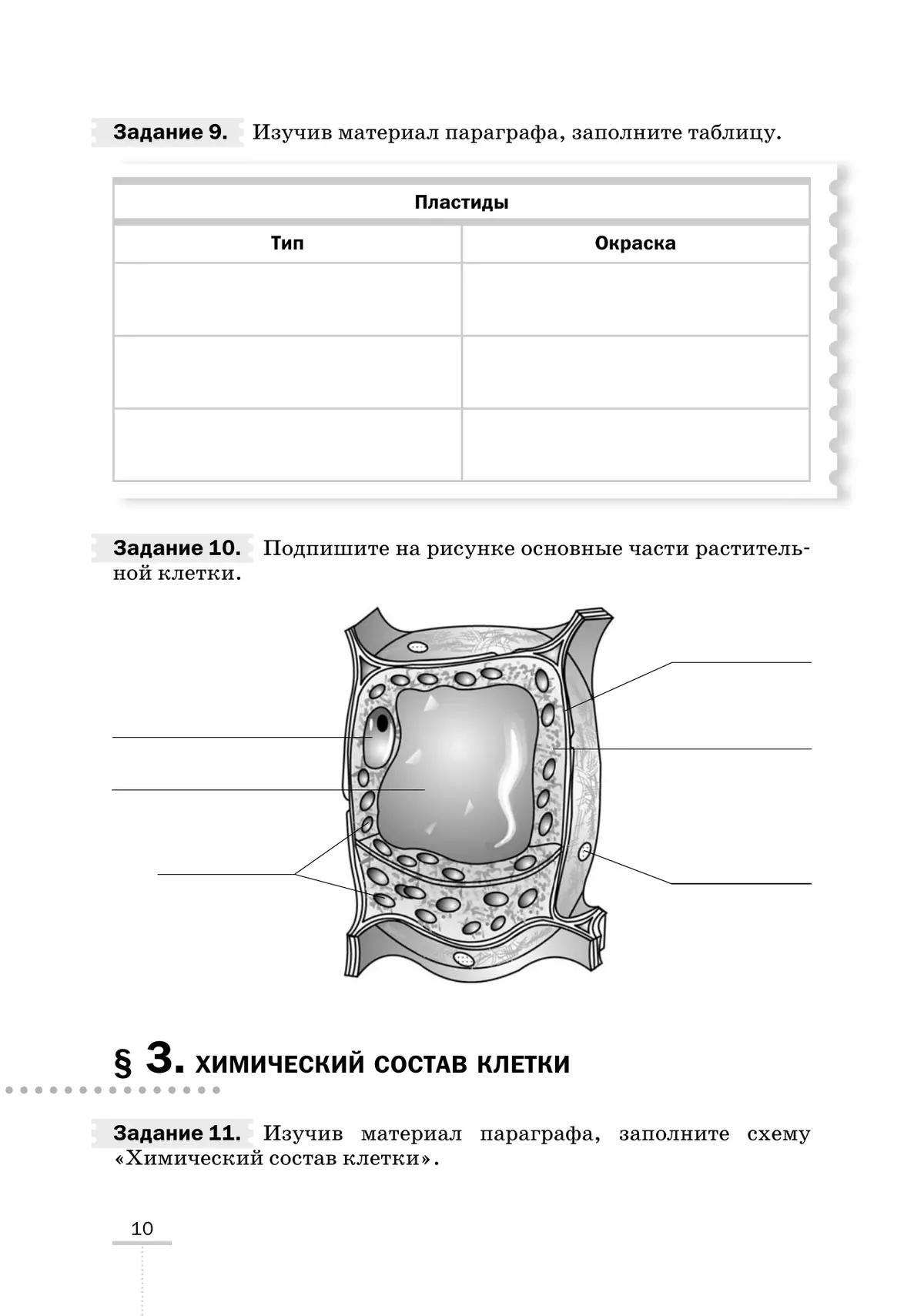 Фотографии ПРОЦЕСС ЖИЗНЕДЕЯТЕЛЬНОСТИ ЖИВОТНЫХ ПРИМЕР