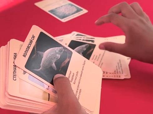 Издательство «Просвещение-Союз» представило литературно-игровую программу на книжном фестивале «Китоврас»